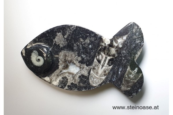 Fisch / Schale aus Fossilien-Marmor 12cm